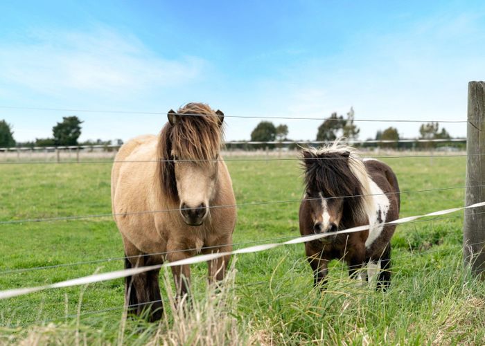  at 664 Depot Road, Oxford, Waimakariri, Canterbury