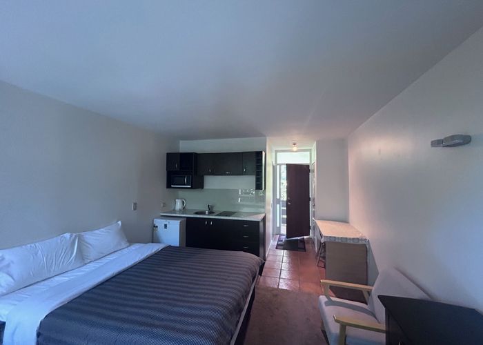  at 267 Remuera Road, Remuera, Auckland City, Auckland