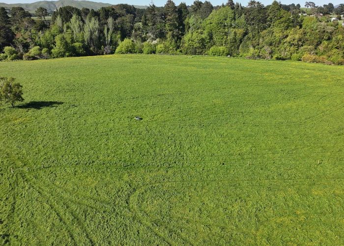  at 84326 State Highway 2, Eketahuna, Tararua, Manawatu / Whanganui