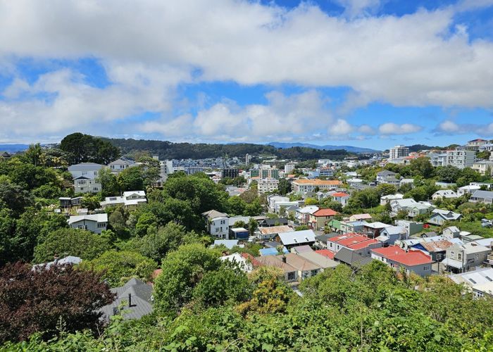  at 14 Essex Street, Aro Valley, Wellington, Wellington
