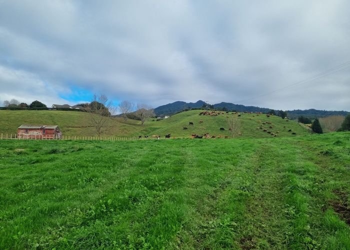 at 474 O'Shea Road, Pirongia, Pirongia