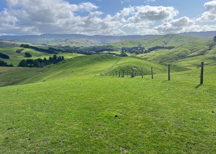  at 463 Waihi Valley Rd, Dannevirke, Tararua, Manawatu / Whanganui