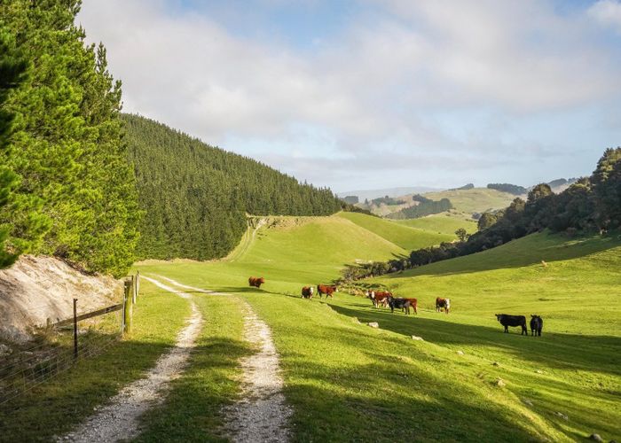  at 782 Glendhu Road, Greta Valley, Hurunui, Canterbury