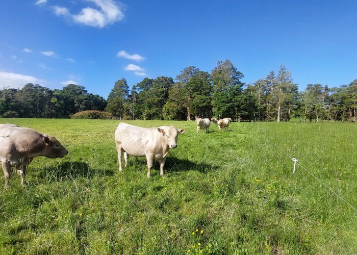  at 3308 State Highway 1, Hukerenui, Whangarei, Northland
