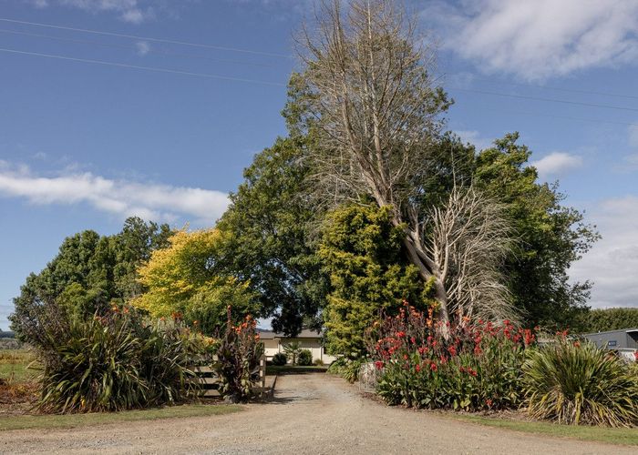  at 473 Otara Road, Opotiki, Opotiki, Bay Of Plenty