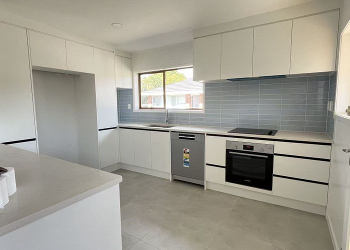  at 1/3 Matai Road, Greenlane, Auckland City, Auckland