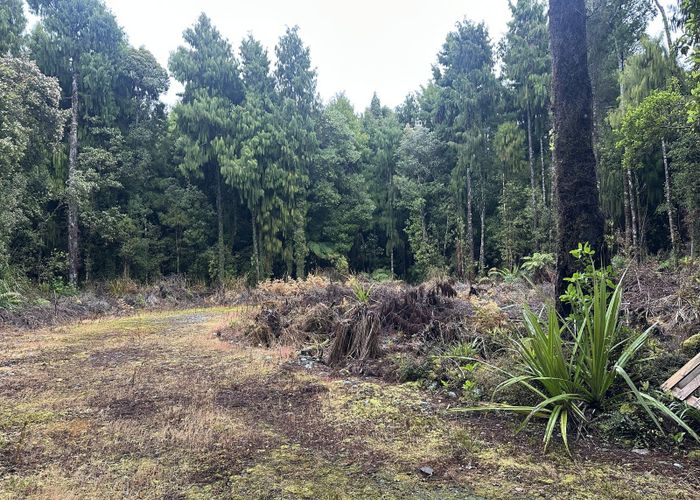  at 5 Jackson Place, Kumara Junction, Westland, West Coast