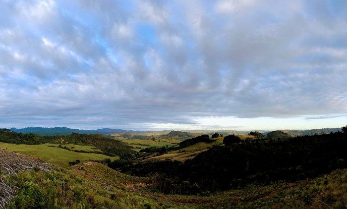  at 195 Kapowai Road, Whenuakite, Whitianga