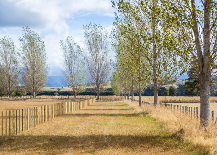  at 85 Budd Road, Upper Plain, Masterton