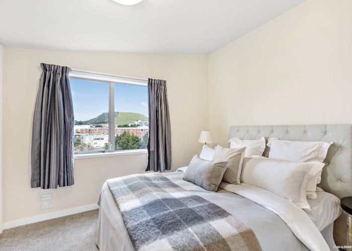  at 17F Domain Road, Panmure, Auckland