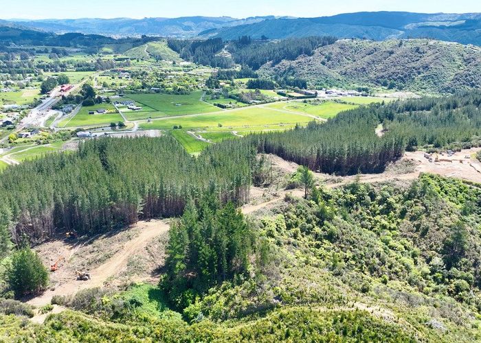 For sale Maymorn, Upper Hutt, Wellington homes.co.nz