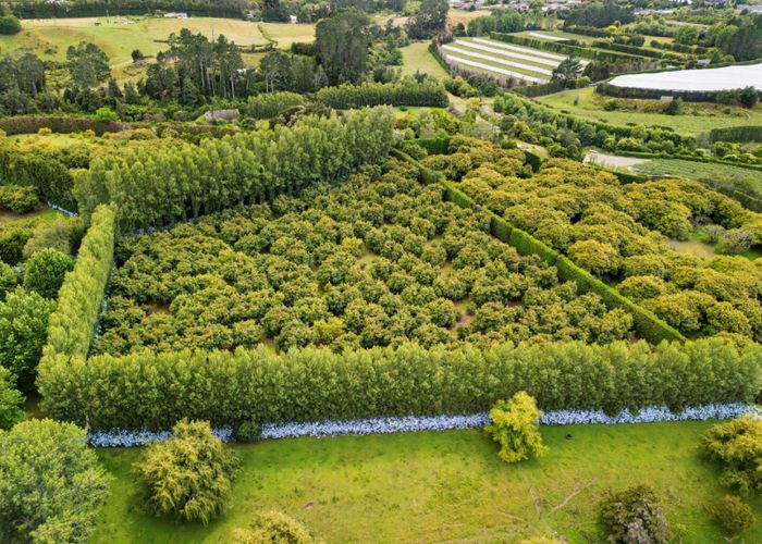  at 58 Rawaka Drive, Katikati, Western Bay Of Plenty, Bay Of Plenty
