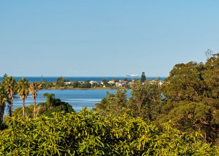  at 117 Athenree Road, Katikati, Western Bay Of Plenty, Bay Of Plenty