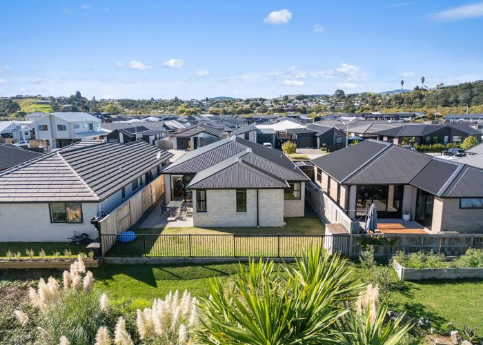  at 11 Hinaki Street, Poike, Tauranga, Bay Of Plenty