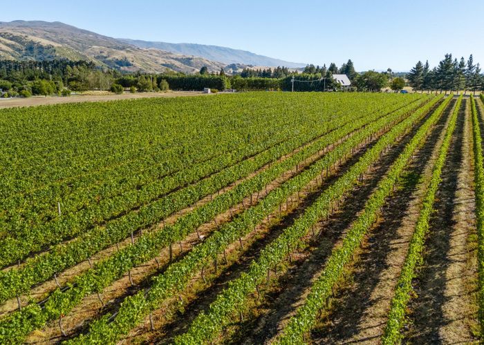  at 160 Pearson Road, Cromwell, Central Otago, Otago
