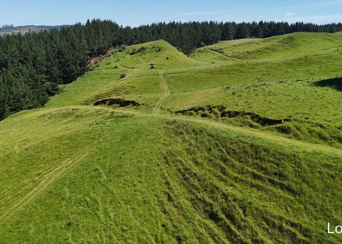  at Lot 3 and 7, 1005 Rangitatau East Road, Kai Iwi, Whanganui, Manawatu / Whanganui