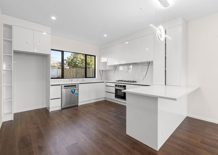  at 2/223 Panama Road, Mount Wellington, Auckland City, Auckland