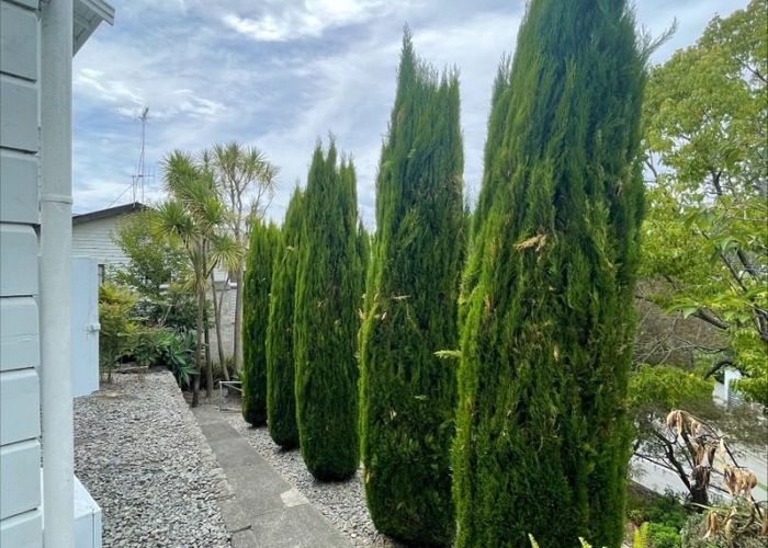  at 4a Simla Terrace, Hospital Hill, Napier, Hawke's Bay