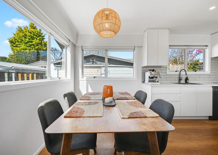  at 12 Edith Place, Dinsdale, Hamilton