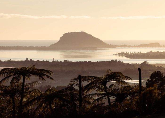  at 8 Pheasant Lane, Te Puna, Western Bay Of Plenty, Bay Of Plenty