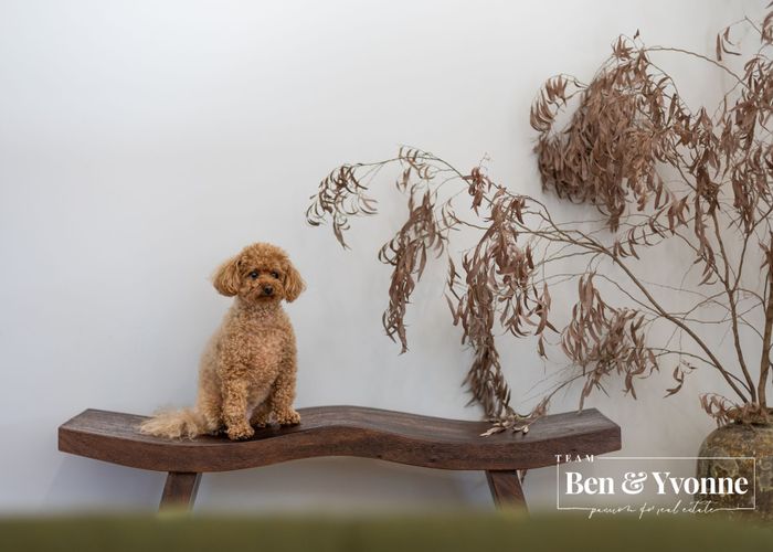  at 55B Panorama Road, Mount Wellington, Auckland City, Auckland