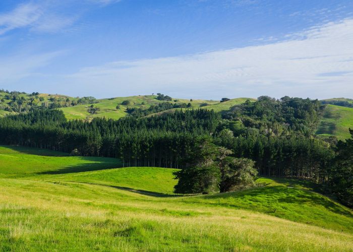  at Ararua Road, Matakohe, Kaipara, Northland
