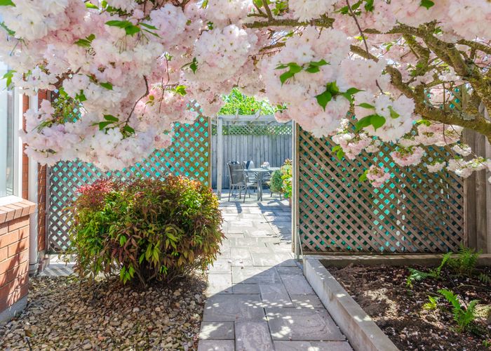  at 27B Dawson Douglas Place, Kaiapoi, Kaiapoi