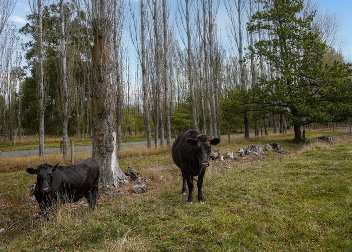  at 4 Mandalea Road, Ohoka, Waimakariri, Canterbury