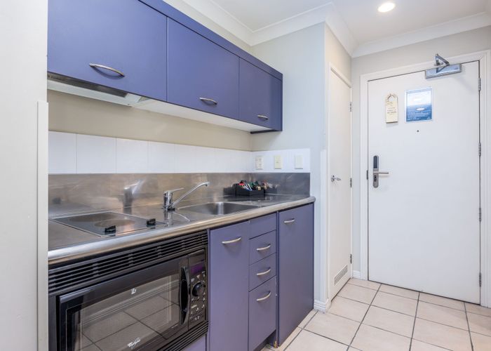  at 1I/100 Greys Avenue, Auckland Central, Auckland