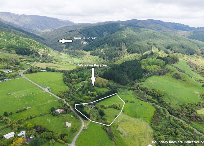  at 302 North Manakau Road, Levin