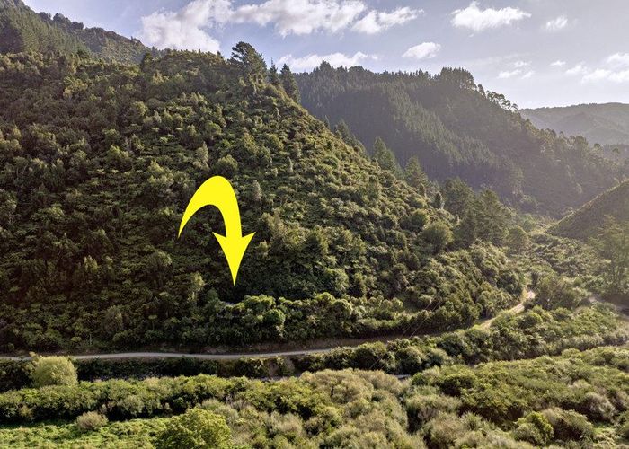  at 250 Pakihi Road, Opotiki, Opotiki, Bay Of Plenty