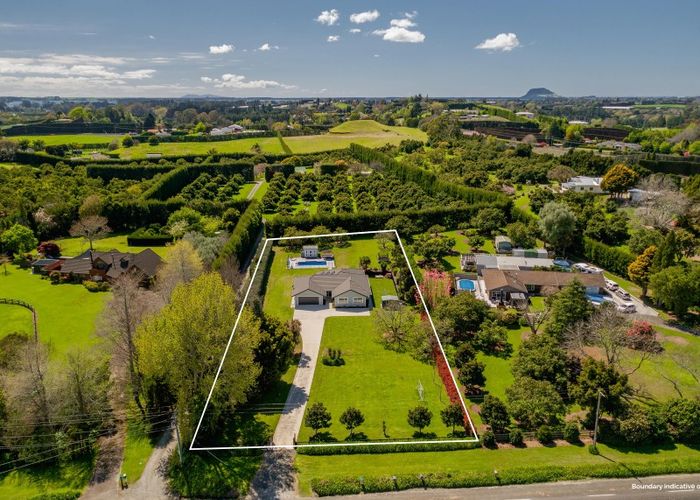  at 141 Munro Road, Minden, Tauranga
