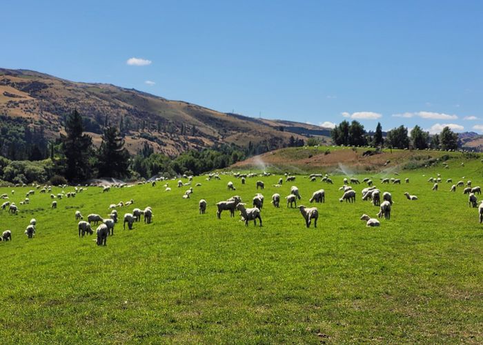  at 115 Gilmour Road, Roxburgh East, Roxburgh