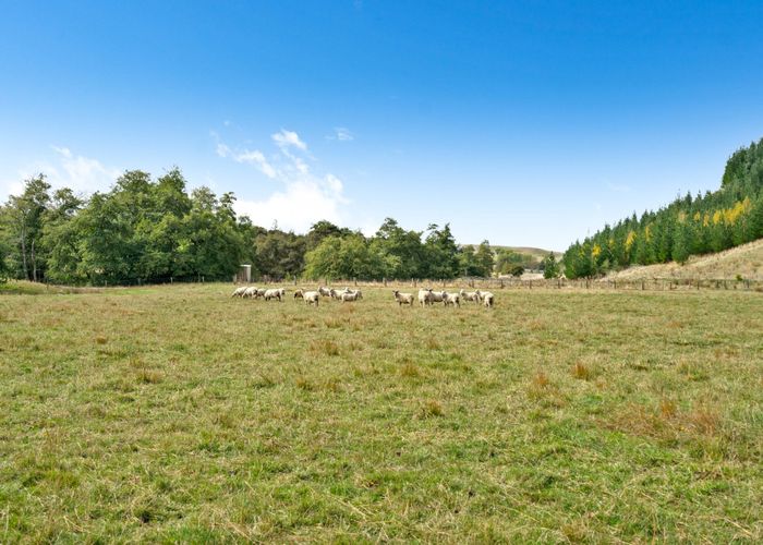  at 739 Matahiwi Road, Masterton, Masterton, Wellington