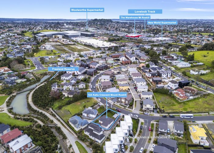  at 12A Kallu Crescent, Mount Roskill, Auckland