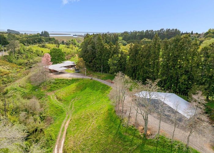 at 1538 State Highway 2, Whakamarama, Western Bay Of Plenty, Bay Of Plenty