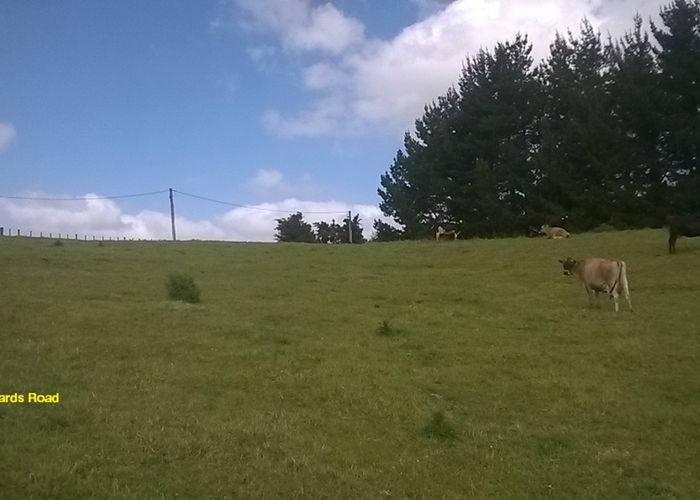  at 30 Richards Road, Te Kowhai