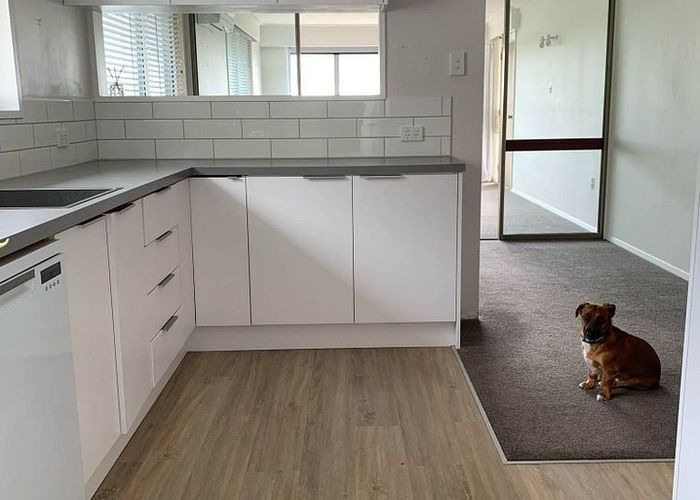  at Cashmere, Christchurch City, Canterbury