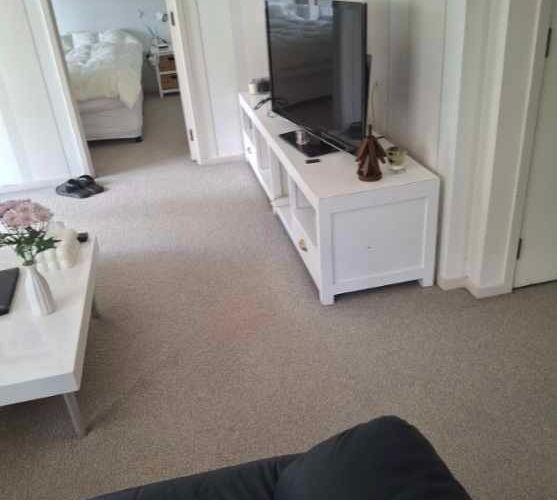  at 1/14 Frieston Road, Milford, North Shore City, Auckland