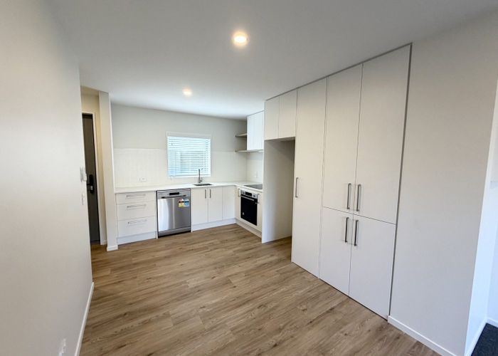  at 45 Rahera Street, Spreydon, Christchurch