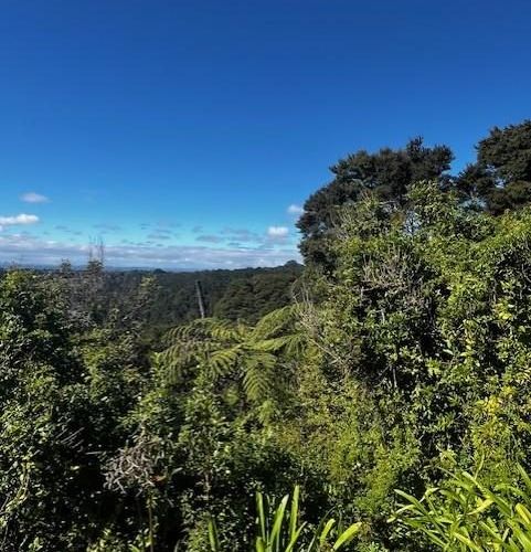 at 50 Kitewaho Road, Swanson, Waitakere City, Auckland