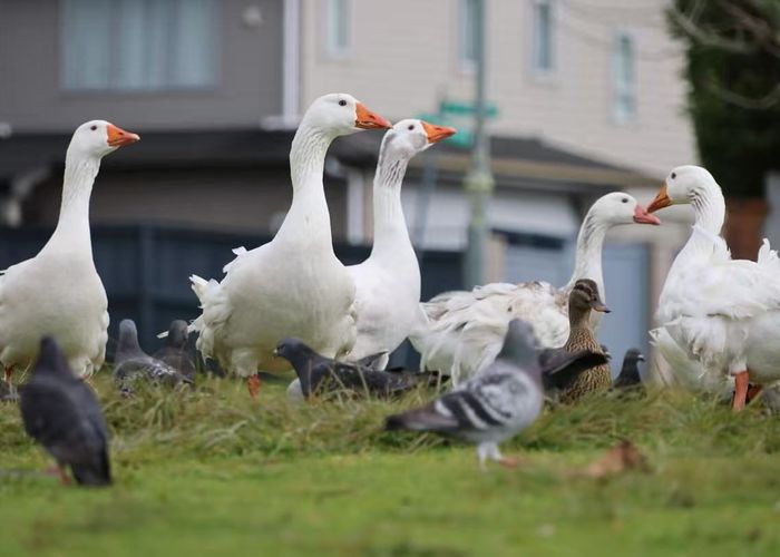  at 42 Lake Panorama Drive, Henderson, Waitakere City, Auckland