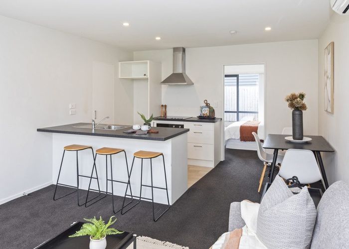  at 17/17 Bunyan Street, Sydenham, Christchurch City, Canterbury