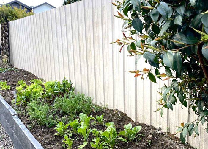  at 3A Manson Street, Gate Pa, Tauranga