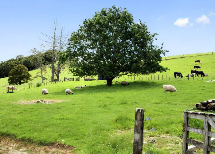  at 36 Pataua North Road, Whareora, Whangarei, Northland