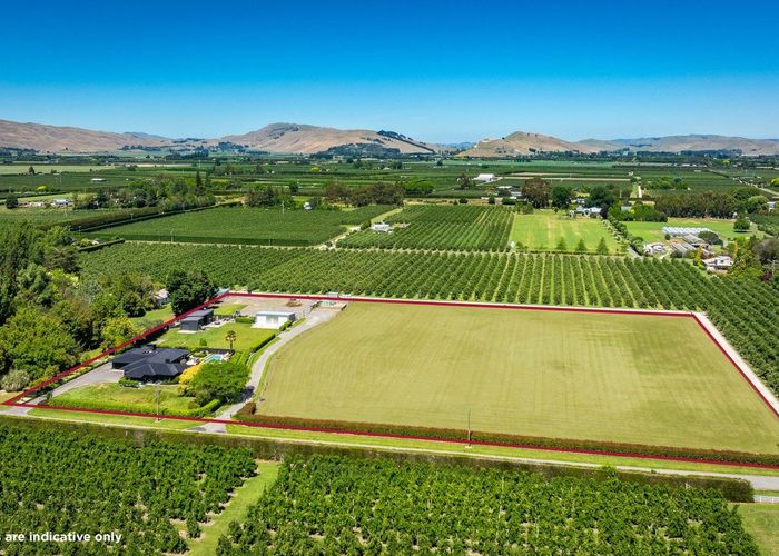  at 77 Algernon Road, Longlands, Hastings, Hawke's Bay