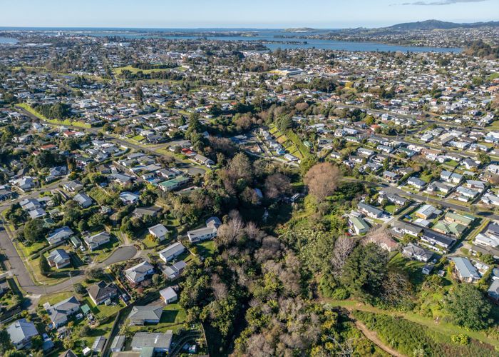  at 78 Sherson Street, Gate Pa, Tauranga