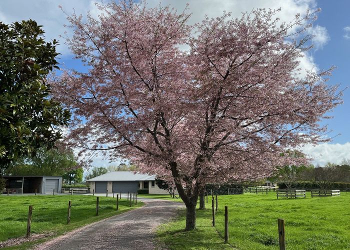  at 3/88 Lamb Street, Cambridge, Waipa, Waikato