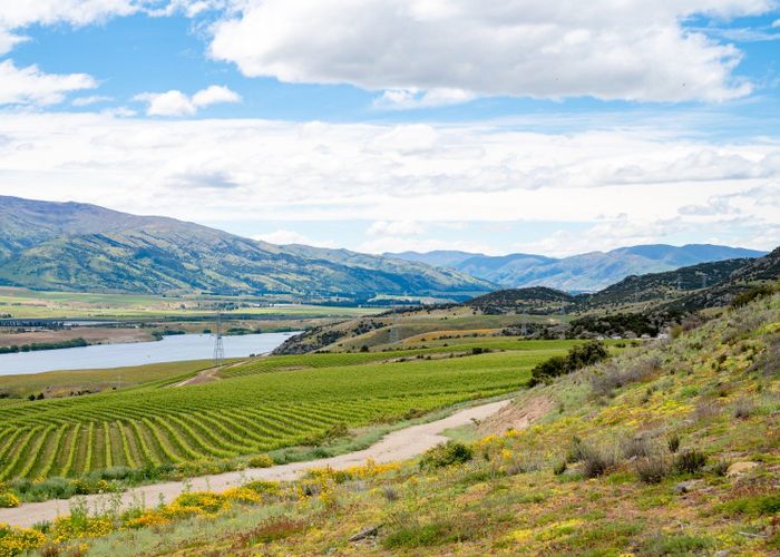  at 355 Lakefront Terrace, Bendigo Hills, Cromwell, Central Otago, Otago