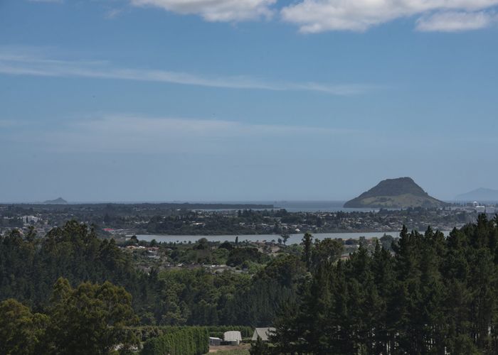  at 221 Pukemapu Road, Oropi, Tauranga, Bay Of Plenty